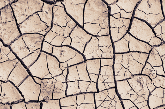 Why Your Feet Get Dry (And How to Fix It!)