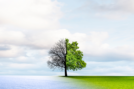 From Winter Chill to Warmer Days: How Seasonal Changes Affect Your Skin (And How to Care for It)