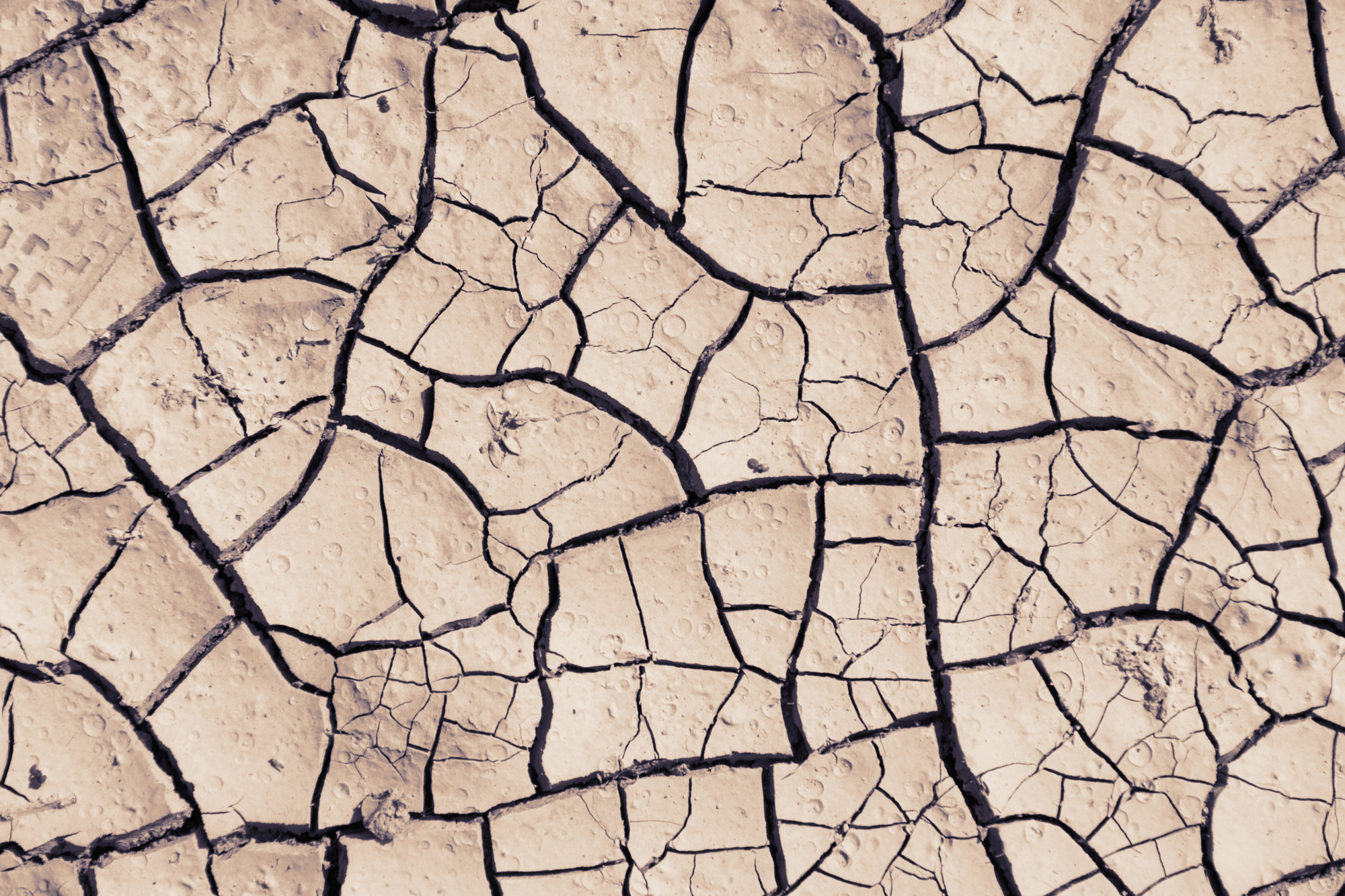 Why Your Feet Get Dry (And How to Fix It!)