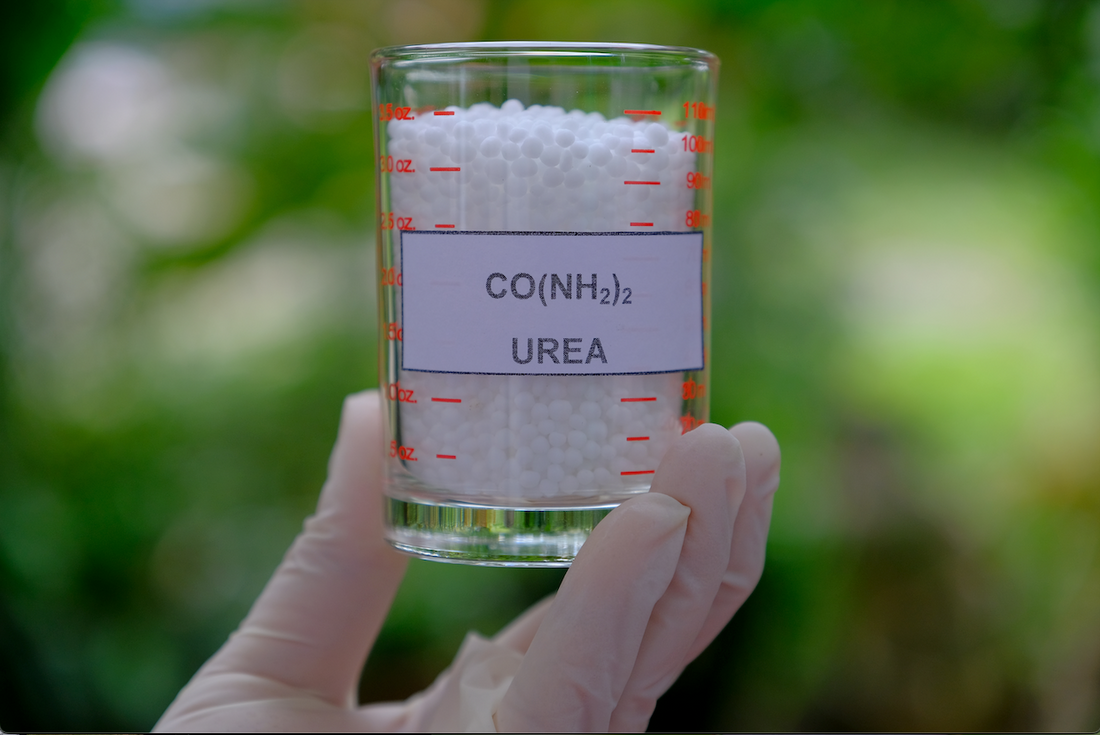 The Secret Ingredient for Super Soft Feet – UREA!